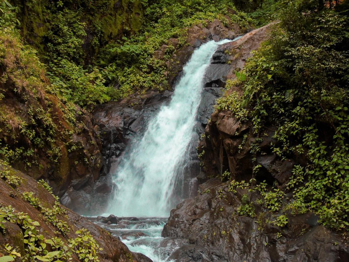 Cataratas Bijagua Lodge, Incluye Tour Autoguiado Bijagua Waterfalls Hike المظهر الخارجي الصورة