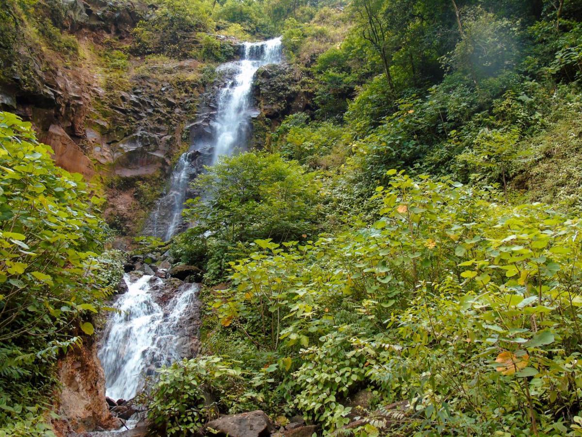 Cataratas Bijagua Lodge, Incluye Tour Autoguiado Bijagua Waterfalls Hike المظهر الخارجي الصورة