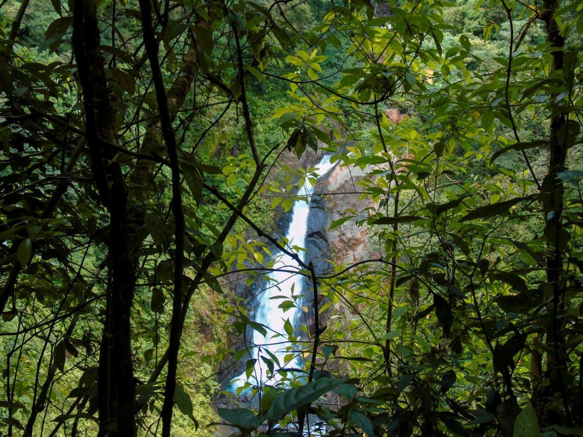 Cataratas Bijagua Lodge, Incluye Tour Autoguiado Bijagua Waterfalls Hike المظهر الخارجي الصورة