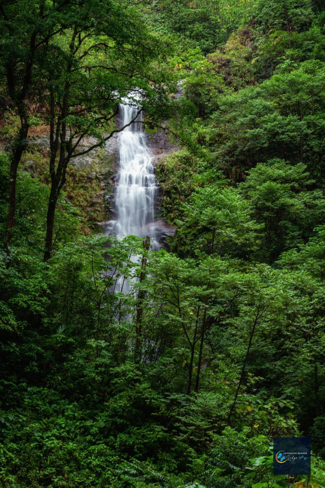 Cataratas Bijagua Lodge, Incluye Tour Autoguiado Bijagua Waterfalls Hike المظهر الخارجي الصورة