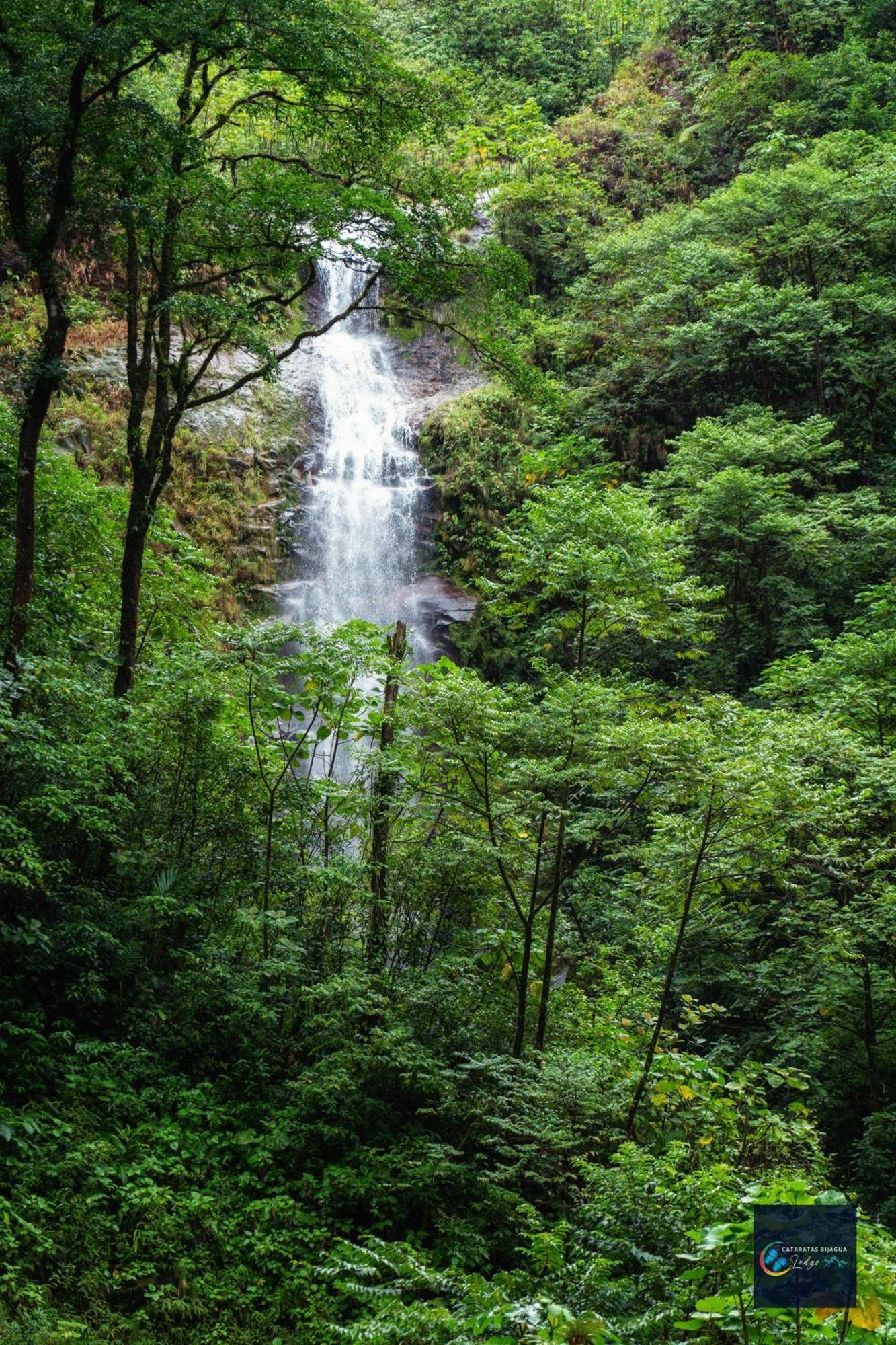 Cataratas Bijagua Lodge, Incluye Tour Autoguiado Bijagua Waterfalls Hike المظهر الخارجي الصورة